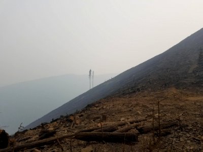 Big Hollow Fire, Aftermath of a section, Credit Don Strand