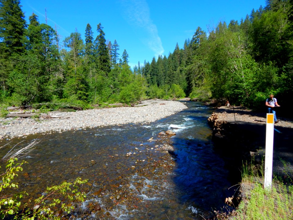 Forest Service Road 32 (Umatilla River)