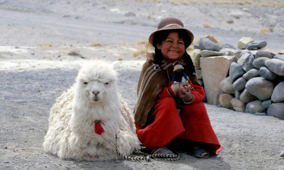Tierna niña peruana con su muñeca y su alpaca