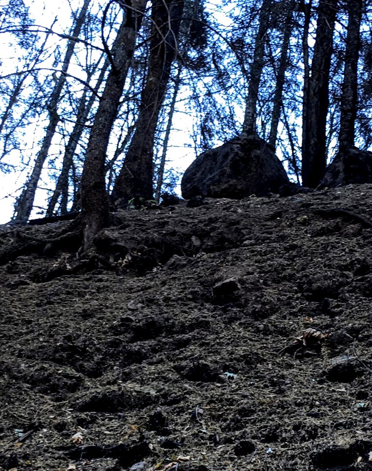 Risk of rockfall increases in burned areas.