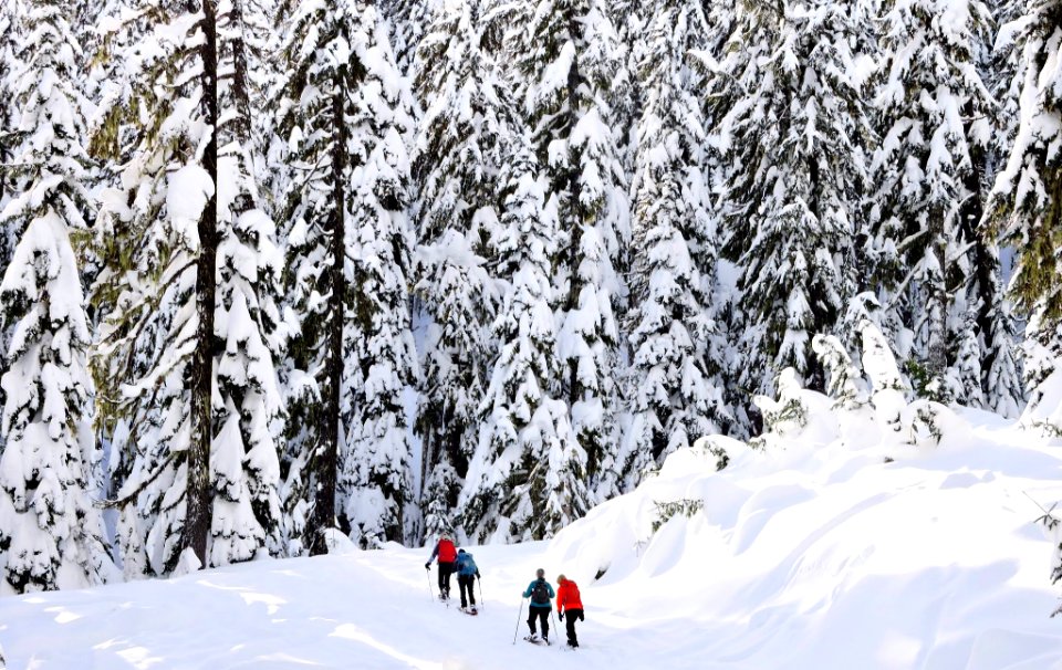 Mt. Hood Meadows on the Mt. Hood National Forest