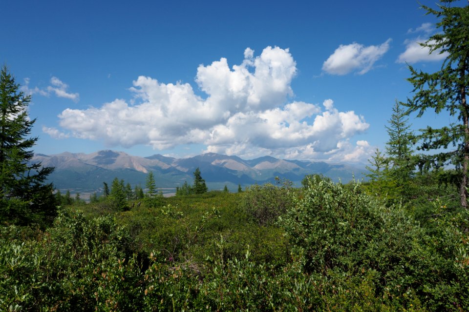 P7190551