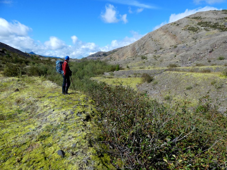 A hydrologist on a hike down Truman Channel toward Coldwater Lake outflow to look at erosional geomorphology. Photo by Kurt Spicer USGS.  (2)