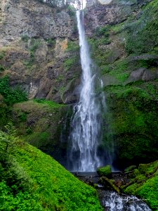 Falls along Larch Mountain Trail. Photo courtesy of Trailkeepers of Oregon.