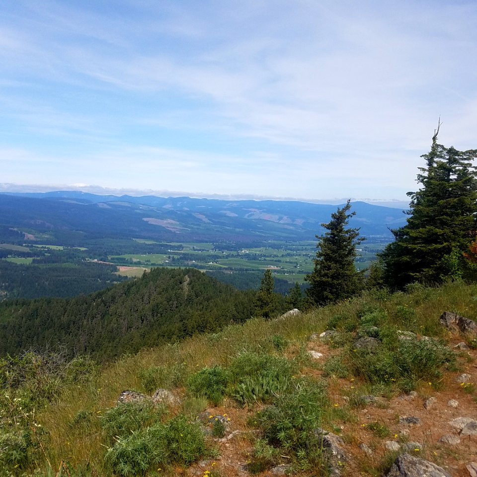 View from Surveyors Ridge Trail May 20, 2018, Mt Hood National Forest