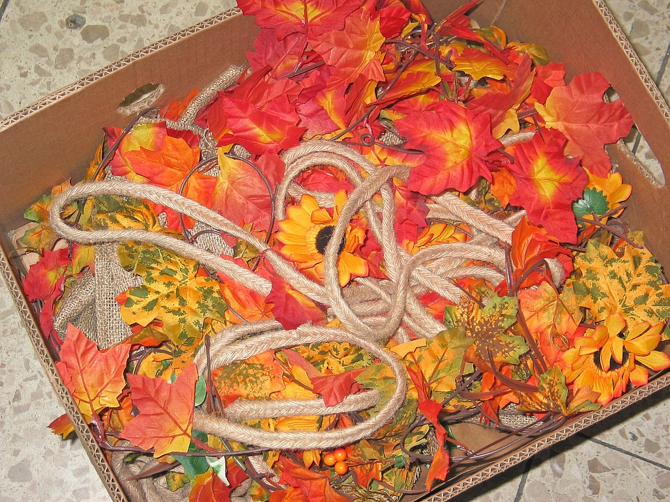 Store season autumn