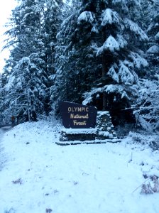 2019 02 10 Snow in Quilcene WA