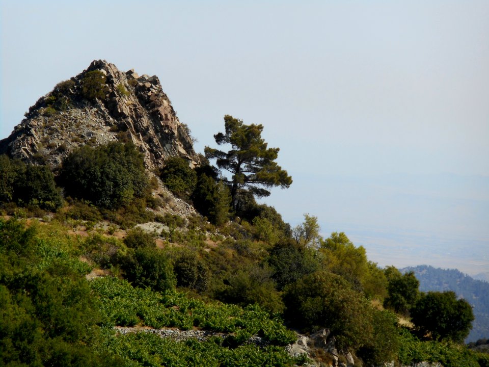 Alona & Polystipos, Cyprus