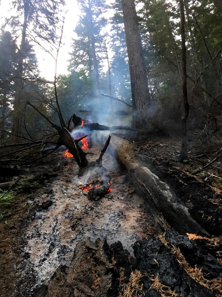 Eagle Creek Hotspot near Herman Creek