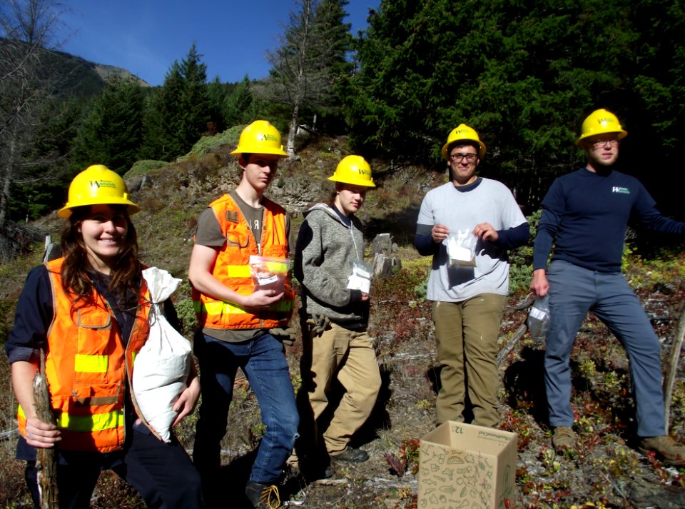 Washington Conservation Corps with native seed 2018, Olympic National Forest.
