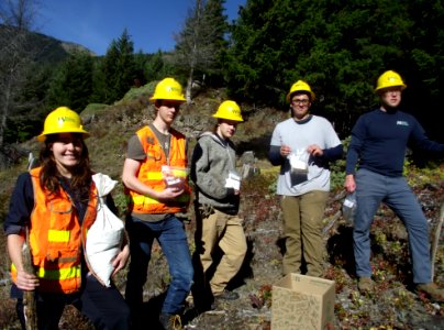 Washington Conservation Corps with native seed 2018, Olympic National Forest.