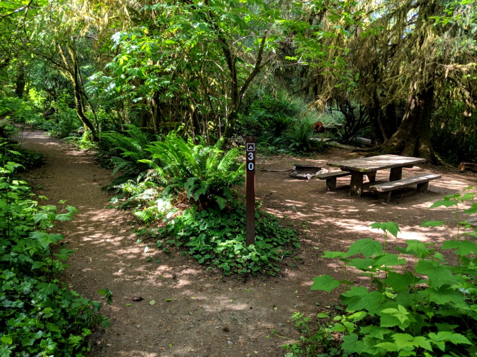 Falls Creek Campground Site# 23 by Doug Parrish, May 2018