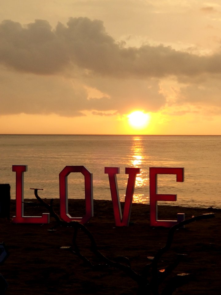 love on the beach photo