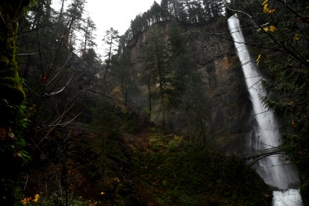 Multnomah Falls post-fire creek is running high due to increased rainfall.
