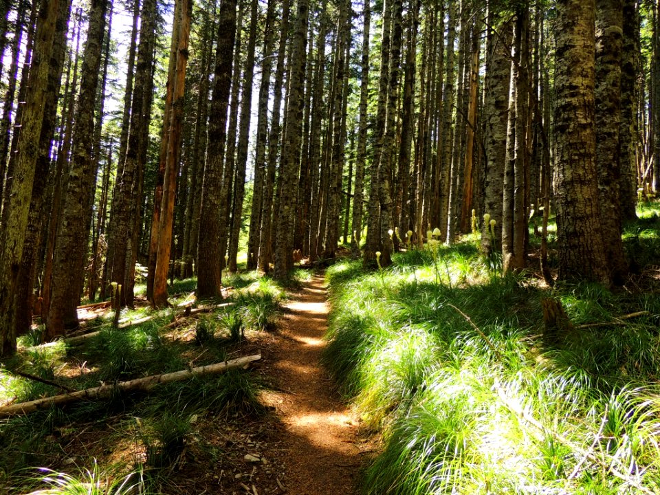 Silver Star Key Exchange on the Gifford Pinchot National Forest