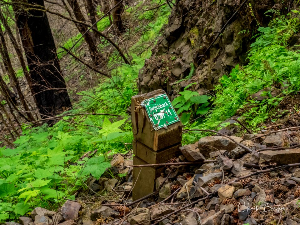 Rock slide damage along Larch Mountain Trail. Photo courtesy of Trailkeepers of Oregon.