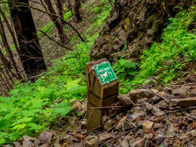 Rock slide damage along Larch Mountain Trail. Photo courtesy of Trailkeepers of Oregon.