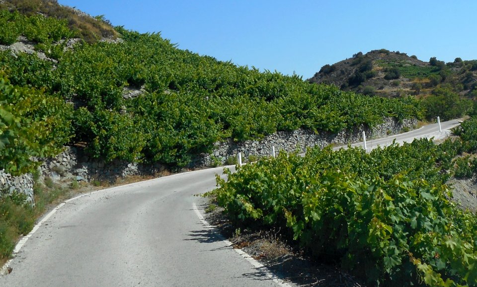 Alona & Polystipos, Cyprus