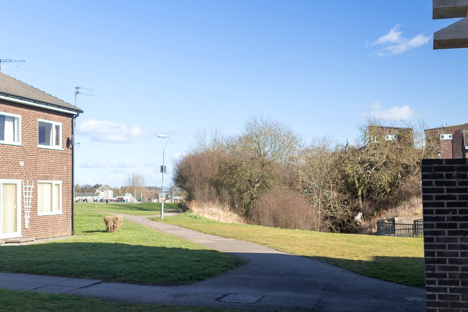 Apollo Pavilion - Playing field