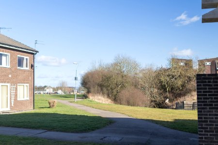 Apollo Pavilion - Playing field