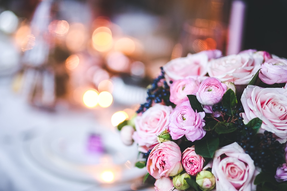 Pink bokeh close up