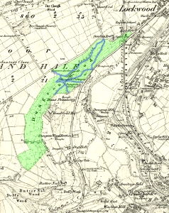 1854 map of Dungeon Wood