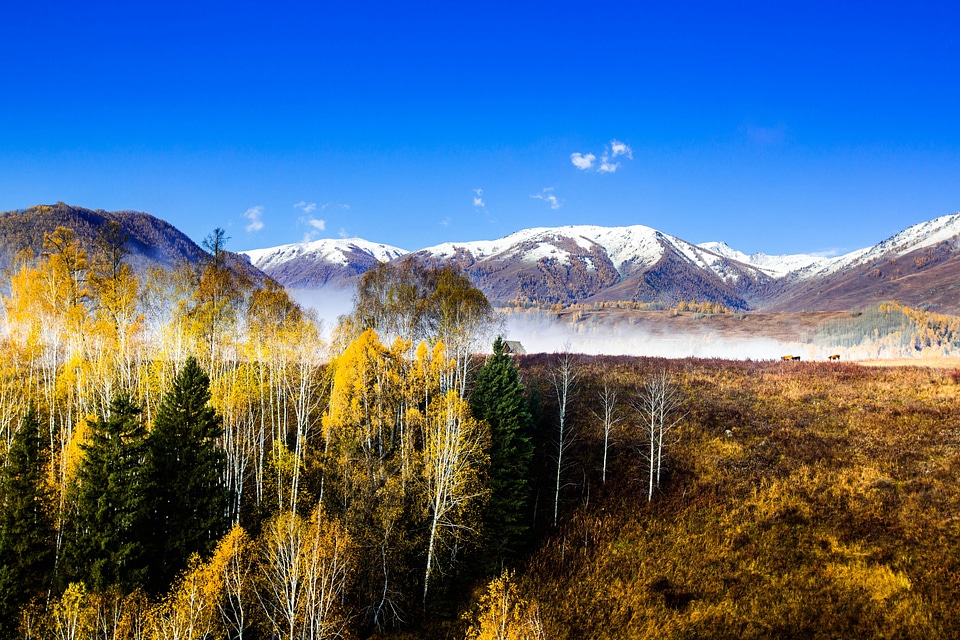 Snow mountain landscape autumn