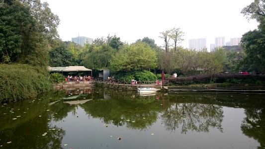 tea and mahjong in culture park