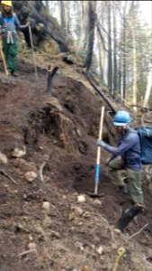 Forest Service Trail Crew Tests Slope Stability on Upper Wahkeena Trail, photo by US Forest Service Public Affairs Specialist Lillian Palmer.