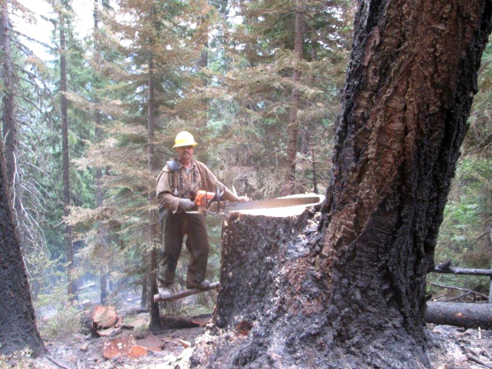 Camp Creek Complex 2014 079