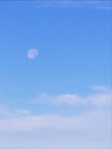 Morning moon photo