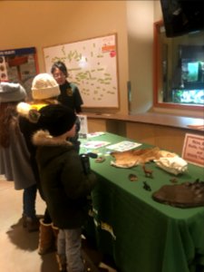 Oregon Zoo. Zoo Lights. 2020