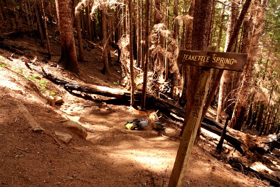 Trail sign along Pacific Crest Trail in July 2018 in the Columbia River Gorge, photo courtesy of through-hiker Eva-Maria Mauz.