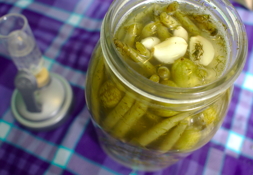 Lactofermentation - the follow up.