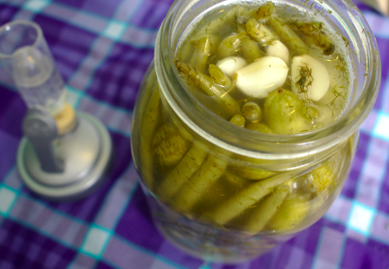 Lactofermentation - the follow up. photo