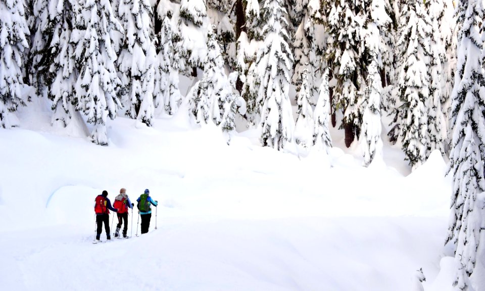 Mt. Hood Meadows on the Mt. Hood National Forest