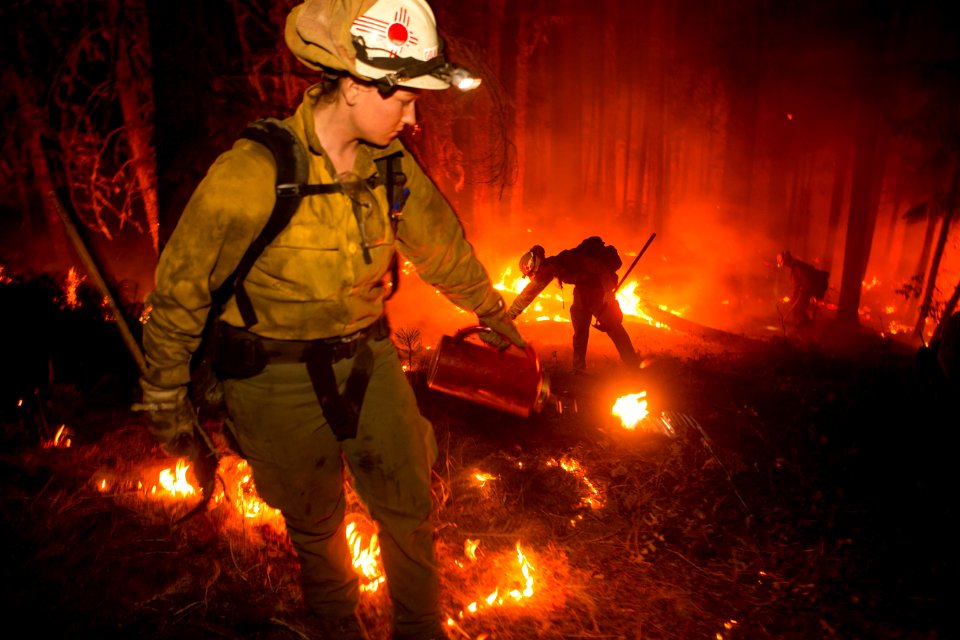 Firefighters, Umpqua National Forest Fires, 2017