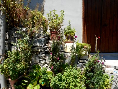 Alona & Polystipos, Cyprus