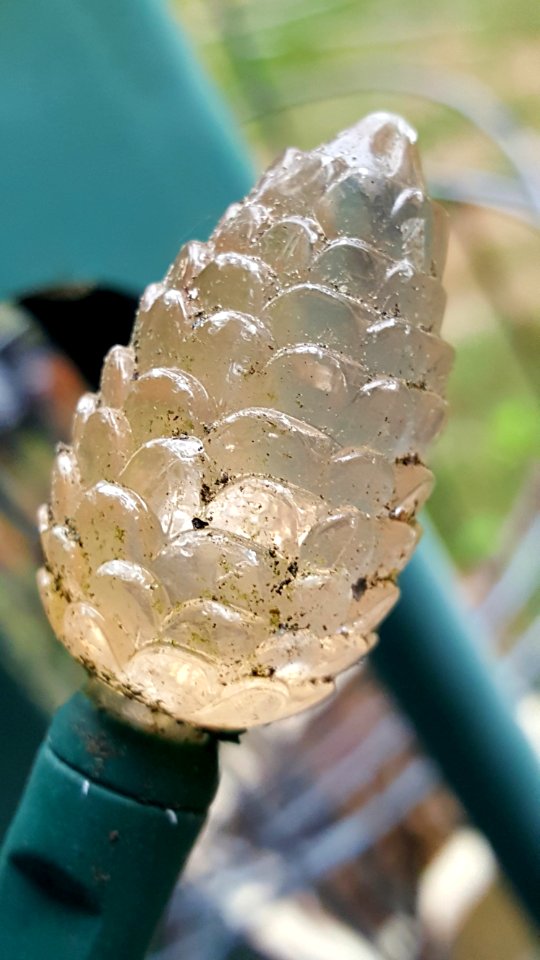 Outdoor bulb
