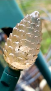 Outdoor bulb