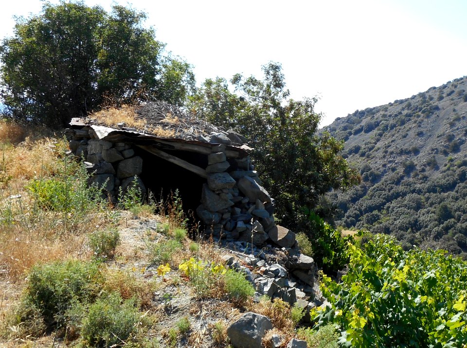Alona & Polystipos, Cyprus
