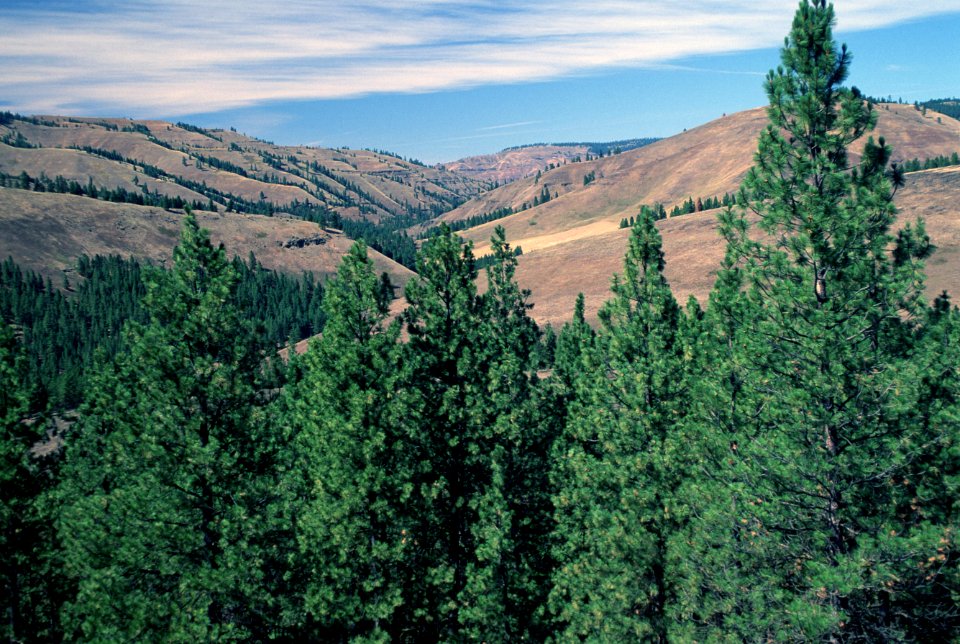Hells Canyon NRA, Wallowa Whitman National Forest-5.jpg