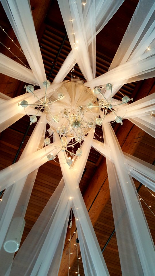 Day 132. Chandelier ball.