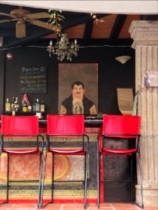 The bartender, Garlands del Rio