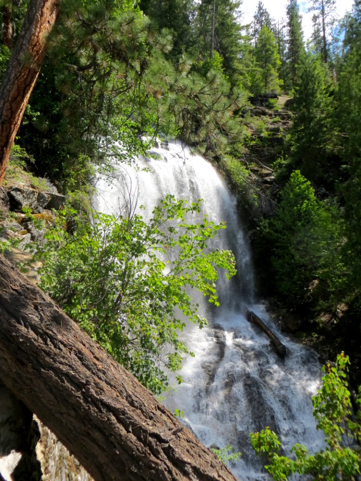 Silver Falls EntiatRD OkaWenNF 2014June byPatrickHerman