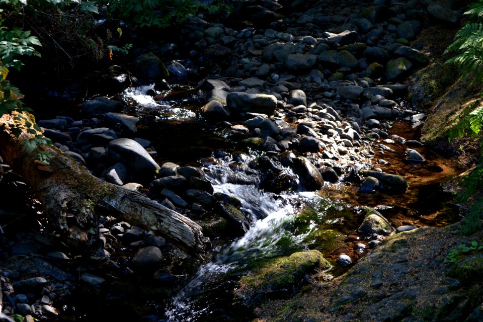 Drift Creek