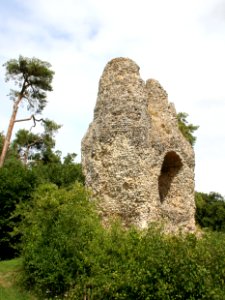 Odiham Castle, Hampshire