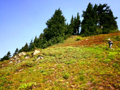 Hiker-UsingWalkingPolesAcrossLowBrushHillside-OkaWenNFbyMasonSchuurUSFS-Aug28-2018 photo