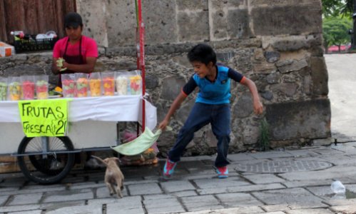 Guadalajara pup3