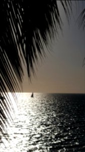 Day 27. Puerto Vallarta